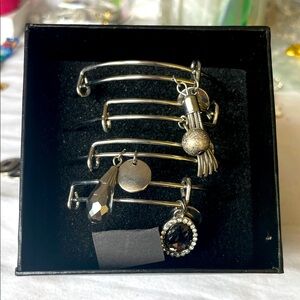 Elegant Silver Bracelet Set with Charms New
